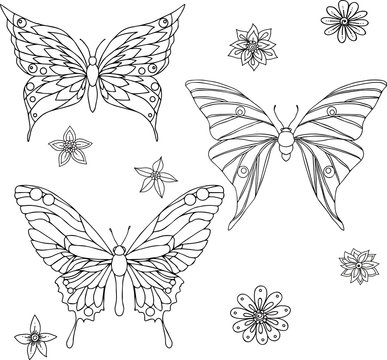 Hand drawn ornamental butterfly set outline illustration with decorative ornaments