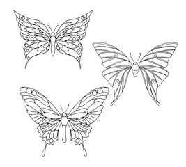 Hand drawn ornamental butterfly set outline illustration with de