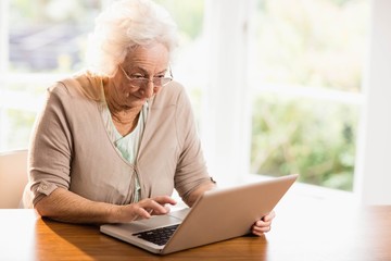 Fototapeta na wymiar Focused senior woman using laptop