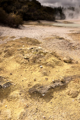 volcanic slopes in Rotorua,New Zealand North Island