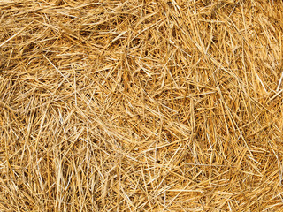 Straw Closeup Background