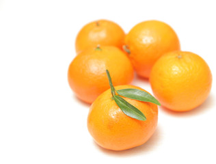 Tangerines on white background