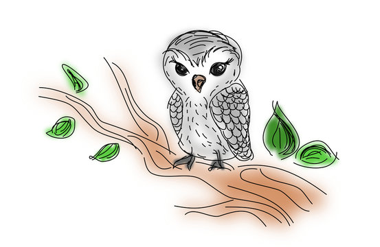 Owl sitting on twig of tree