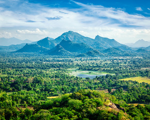 Sri Lankan landscape 