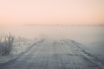 Obraz premium foggy country fields in winter on cold morning - vintage effect