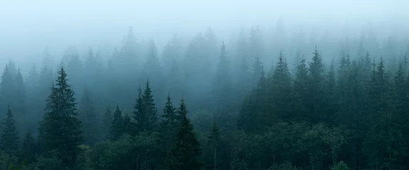 Tableaux ronds sur aluminium brossé Forêt dans le brouillard Forêt d& 39 automne