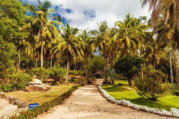 Fototapeta premium Suoi Tranh waterfall and park near the city of DuongDong, PhuQuo