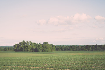 cultivated field and blue sky with sun - vintage effect