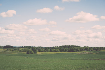 Flower field and blue sky with sun - vintage effect