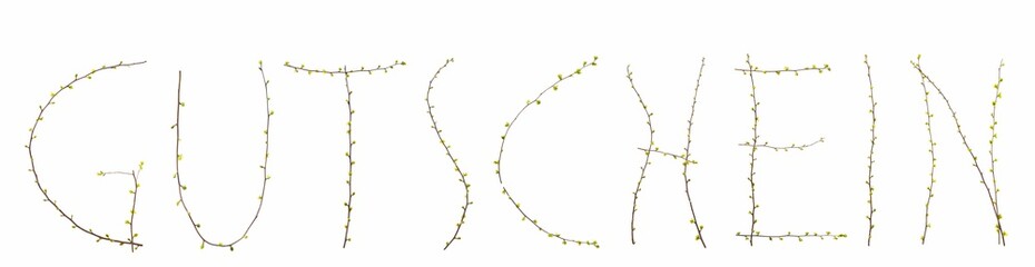 Gutschein Zweige mit Blättern