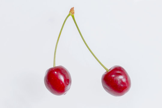 Couple of cherries isolated 