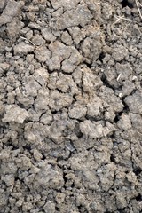 dry cracked soil texture background