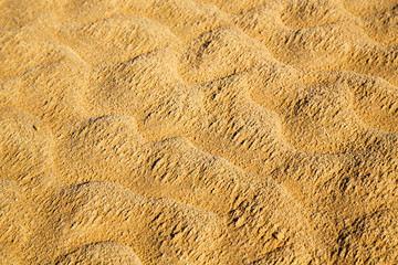 brown dry sand    desert