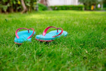 Closeup of flip flops on green grass