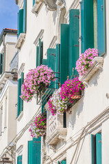 Flowers on windowsill and balcony in bright sunny day in Chioggia