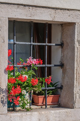 Fototapeta na wymiar Flowers on windowsill and balcony in bright sunny day in Chioggia