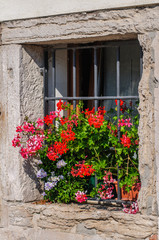 Fototapeta na wymiar Flowers on windowsill and balcony in bright sunny day in Chioggia