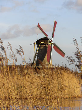 Dutch corn mill along canal, Bleskensgraaf, South Holland, Netherlands