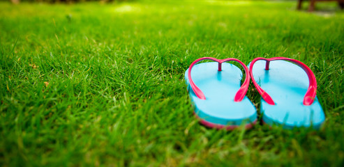 Closeup of flip flops on green grass