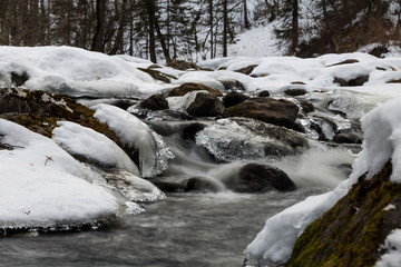 Obraz premium Spring brook