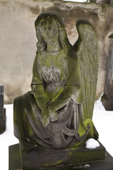 Obraz premium The Angel from the snowy old Prague Cemetery, Czech Republic