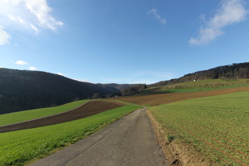 Bienenberg Liestal