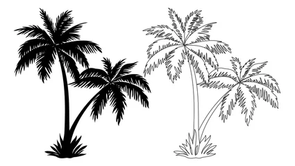 Poster Tropische palmbomen, zwarte silhouetten en contouren geïsoleerd op een witte achtergrond. Vector © oksanaok