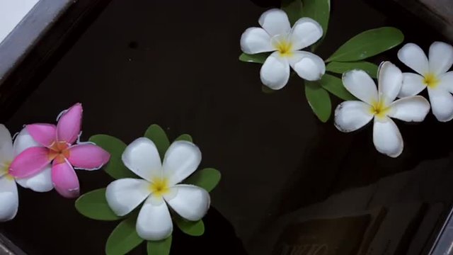 beautiful flowers decorate on water vessel