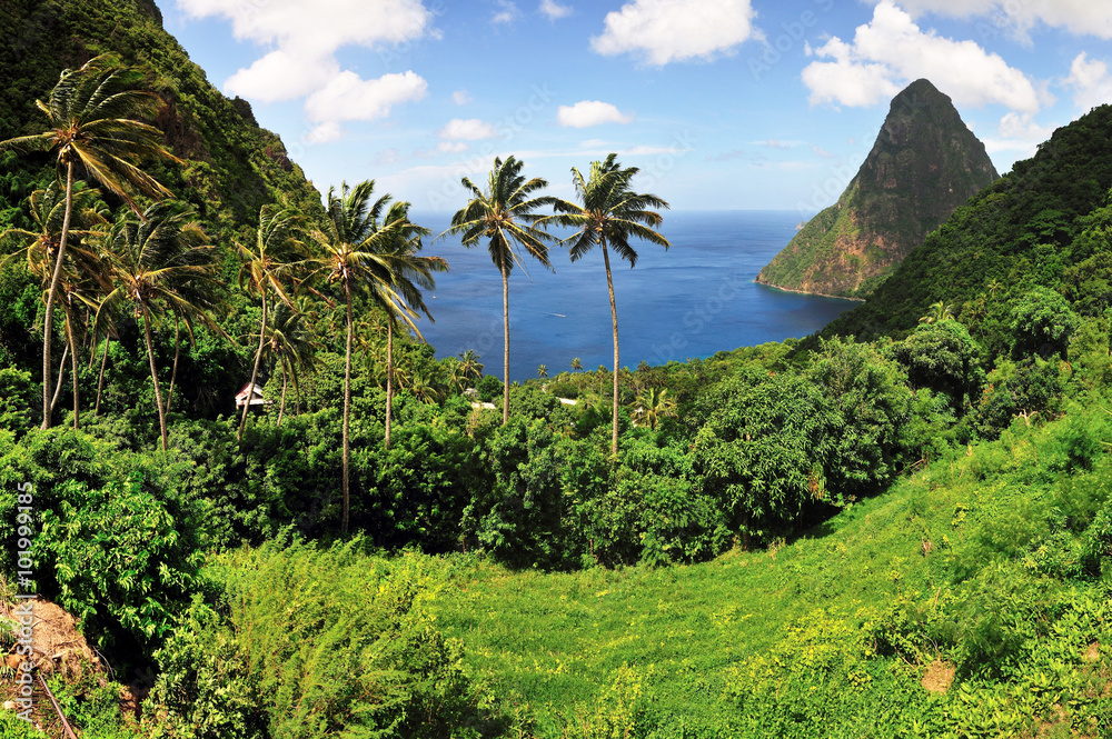 Wall mural saint lucia