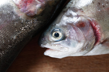 Raw Fish For Preparation