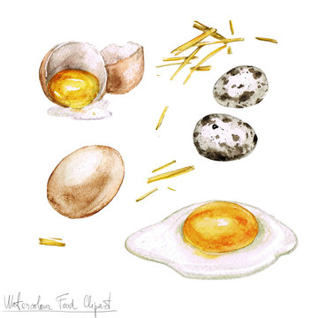 Watercolor Cooking Clipart - Eggs