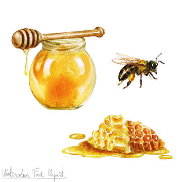 Watercolor Cooking Clipart - honey