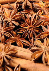 star anise fruits and seeds
