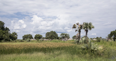 traditional village along nile river