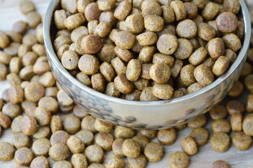 dog food in circle stainless bowl