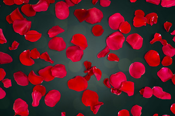close up of red rose petals over lights background