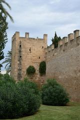 Fototapeta na wymiar Stadtmauer von Alcudia, Mallorca