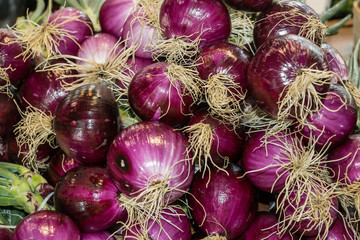 Bunches of Red Onions