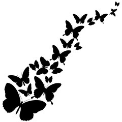 butterflies design