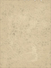 Fototapeta premium parchment
