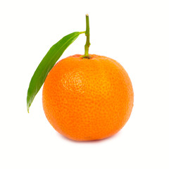 Fototapeta na wymiar Orange mandarin