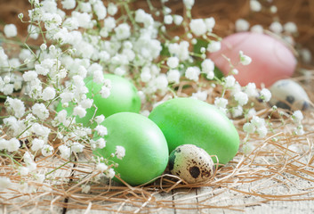 Fototapeta na wymiar Green easter eggs on old wooden background with dry straws and w