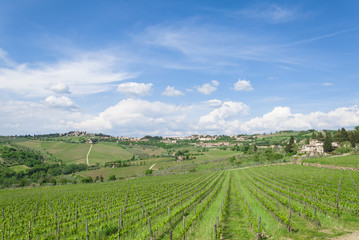 Cloudy sky in tuscan vineyard