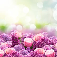 Crédence de cuisine en verre imprimé Lilas Fleurs lilas et roses