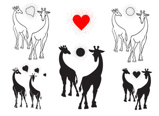 Set of silhouettes of giraffes. Black on white background