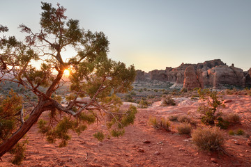 Arches National Park