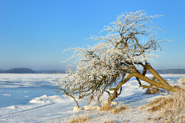 Insel Rügen