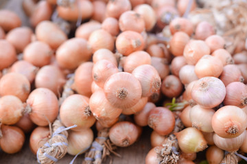 Sacs containing onion stacked for sale at farm market. 