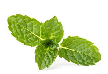 Fresh mint herb leaves isolated on white background cutout
