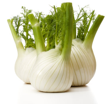 Fresh fennel bulb isolated on white background close up